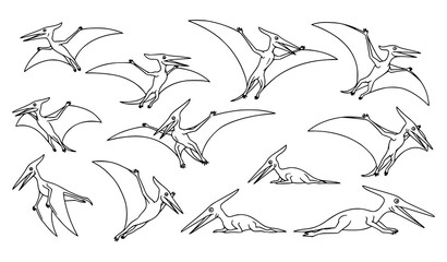 Pterodactyl Flying Dinosaur Outline Collection with Different Wing Positions Prehistoric Animal Set © Boloram