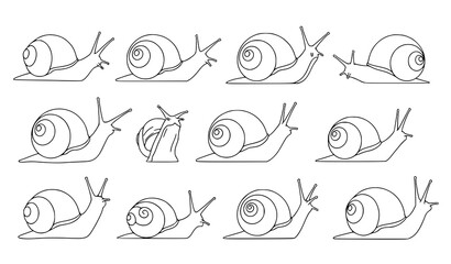 Snail Outline Collection with Different Crawling Garden Snail Poses Vector Illustration Set © Boloram