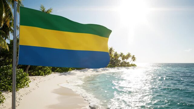 Gambian flag on tropical beach