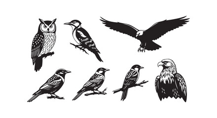 Obraz premium Bird silhouettes collection featuring owl woodpecker eagle and other birds for wildlife graphic design.