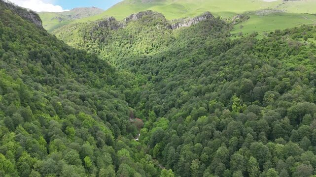 Cinematic aerial drone footage of lush green forested mountains in summer, scenic 4K nature landscape.