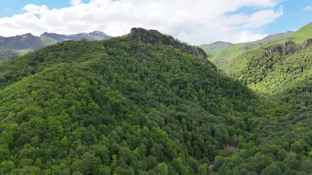 Cinematic aerial drone footage of lush green forested mountains in summer, scenic 4K nature landscape.