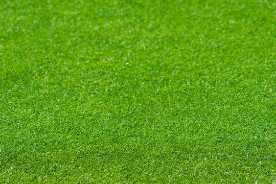 High-Resolution Professional Stadium Turf F3.5, Perfect Copy Space Texture