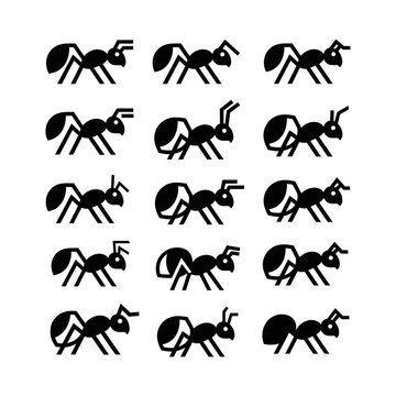 A Collection Of 16 Black And White Illustrations Of Ants The Ants Are