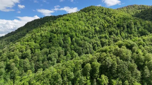 Cinematic aerial drone footage of lush green forested mountains in summer, scenic 4K nature landscape.