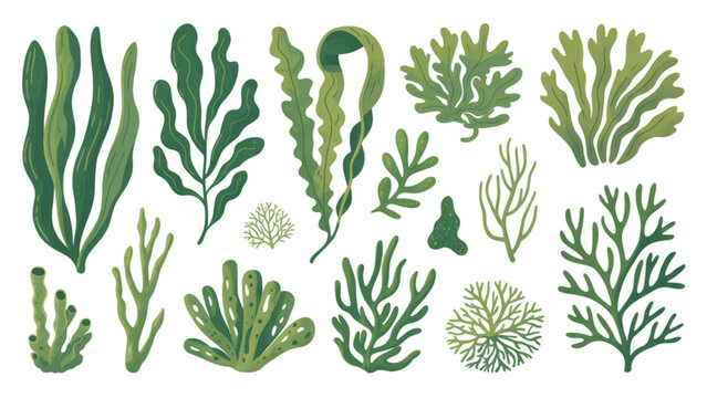 Collection of various green seaweed and kelp plants set in a simple pixel art style for digital design and game assets illustrating marine ocean life and aquatic nature
