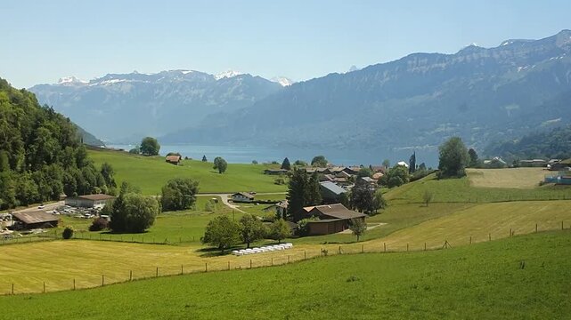 Spiez the the lake Thun or Thunersee from a train, panoramic view. 