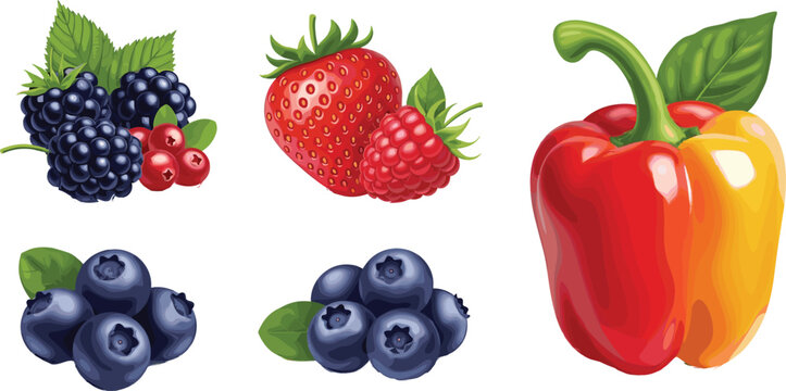 Fresh berry and bell pepper collection isolated vector illustration for healthy organic food and natural nutrition design