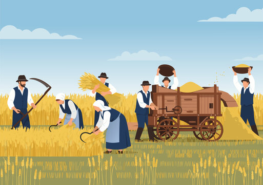 Illustrative Historical Wheat Harvest Rural Farmers Gather Golden Crops with Traditional Tools and Threshing Machine