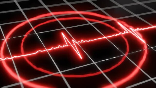 Seismic Activity Earthquake Wave Display on Screen