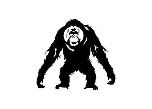 Orangutan Silhouette