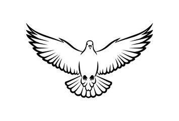 Fototapeta premium Dove in Flight Line Art