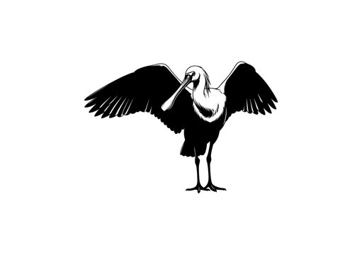 Spoonbill Bird Silhouette