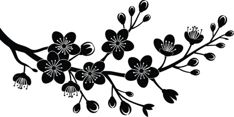 Black silhouette of a cherry blossom branch with flowers and buds on a white background sakura © QueenMomtaz 