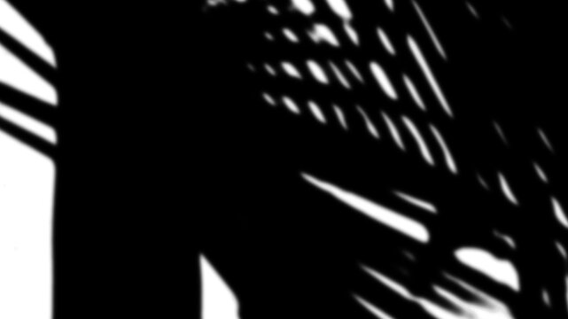 Dramatic abstract shadow patterns cast by tropical leaves on a bright surface