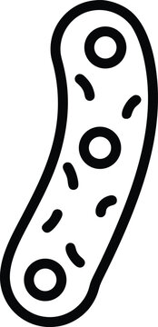 planarian flatworm black and white vector illustration on transparent background