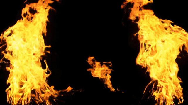 Static wide video of two vibrant orange & yellow fire columns, fluidly rising with intricate tendrils, luminous glow, embers against pure black. Raw power and chaotic elegance.