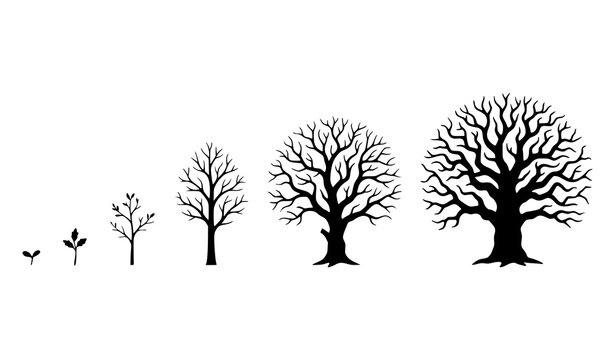 Tree Growth Stages Silhouette Vector Collection from Plant to Oak