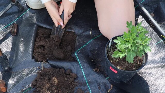 Female gardener digging a hole for planting