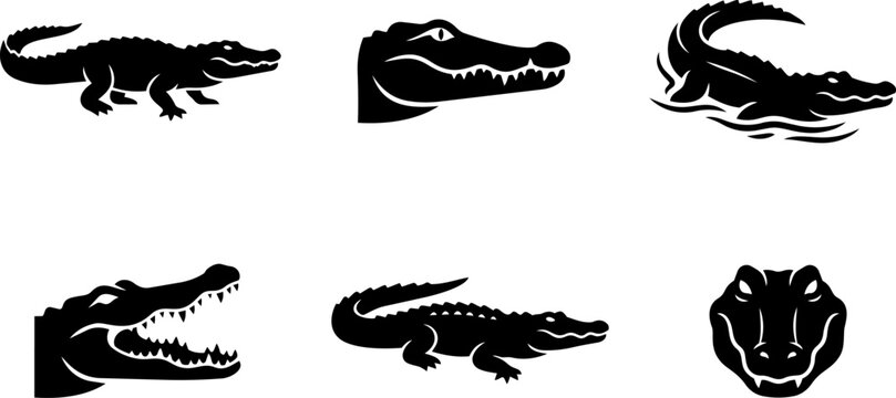 Crocodile and alligator silhouette icon collection. Vector