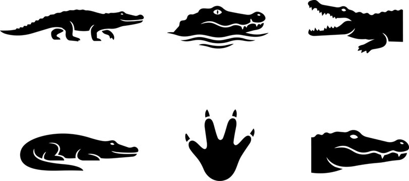 Crocodile and alligator silhouette icon collection