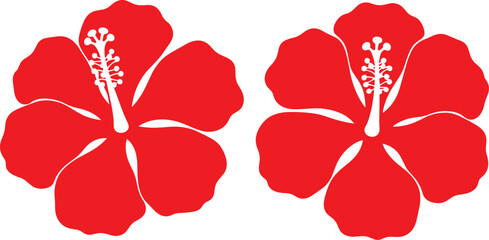 Two bold red hibiscus flowers with white centers isolated on a transparent background © Sangita Rani