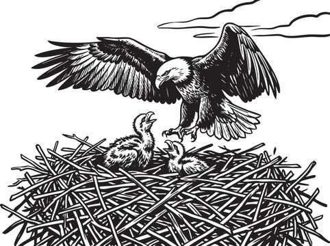 Eagle, bird, nest, wildlife, illustration, vector, black and white, animal, wings spread, eaglet, parent, nature