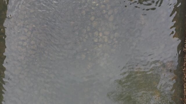 An aerial top-down shot of water cascading over a small concrete dam structure on a river with rocks visible through the clear water.

