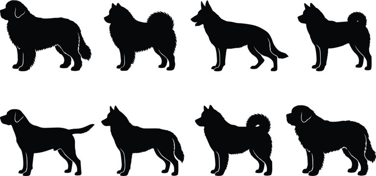 Dog breeds silhouette collection featuring husky shepherd labrador retriever and fluffy large pets isolated on white background vector