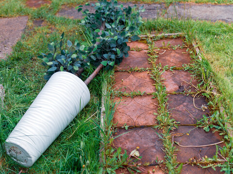 artificial tree on the ground