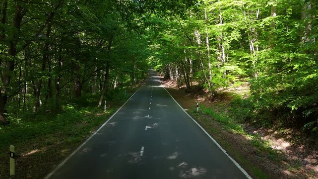Cinematic drone footage of empty asphalt road through dense green forest, scenic summer woodland landscape in 4K.