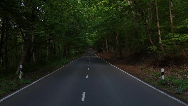 Cinematic drone footage of empty asphalt road through dense green forest, scenic summer woodland landscape in 4K.