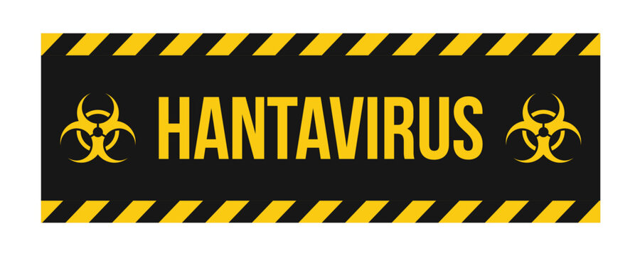 Hantavirus biohazard warning banner illustration, black and yellow hazard stripe sign for rodent virus alert, infection risk, public health safety, medical poster and infographic design
