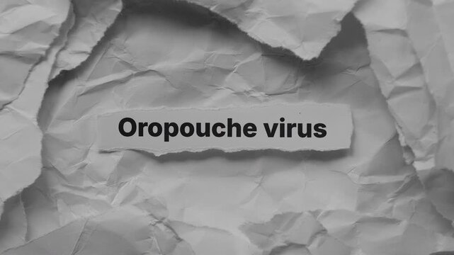 A torn piece of paper with the words Oropouche virus on it lying on a background made of chaotic crumpled paper textures. Close up.
