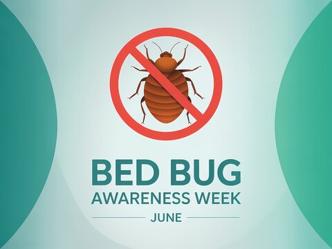 Bed bug awareness week in june, vector illustration with a warning sign over a bed bug icon