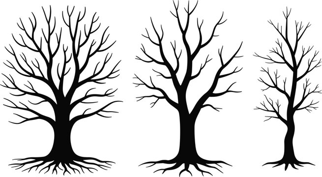 Leafless tree silhouettes with roots exposed, vector illustration of natural artwork design elements for forest, landscape, and decoration