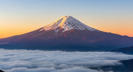 Fototapeta premium A beautiful snow-capped volcanic mountain peak rising above a thick white sea of clouds during a golden sunrise or sunset.