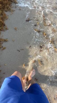 Playa de Miami Invadida por el Sargazo &ndash; Video 4K Vertical.