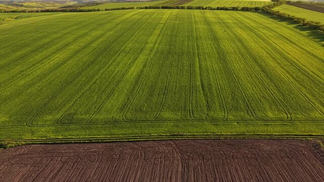 Agricultural Fields with Arable Land Drone Perspective Video, Farming and Soil Agriculture Concept, Aerial Top Down View of Brown Earth Texture Rural Landscape Footage