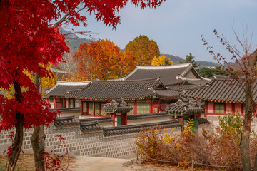 Obraz premium Gyeongbokgung Palace in Autumn - Seoul, South Korea