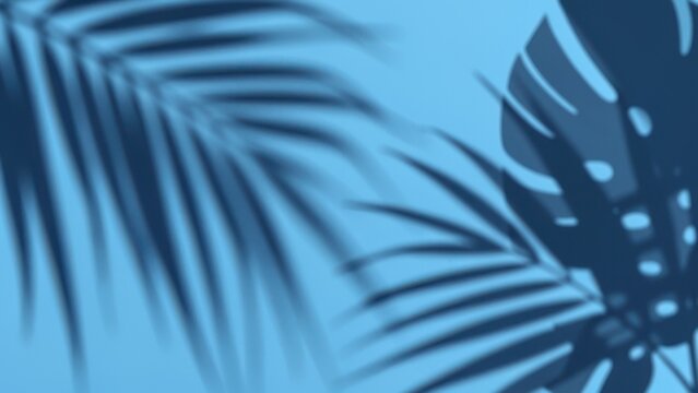 art abstract background with palm shadows on blue with copyspace, tropical leaf silhouette overlay on minimal surface, summer nature shadow pattern with empty space