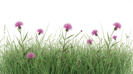 Fototapeta premium Pink wildflowers in tall green grass with soft natural lighting pink flowers tall grass meadow