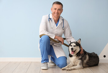 Male veterinarian with cute husky dog near blue wall © Pixel-Shot