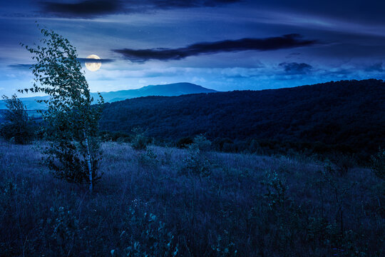 tree on a field in mountain landscape at night. full moon over green countryside of ukraine in summer. cloudy weather. carpathian landscape in dappled light. mysterious carpathian highland