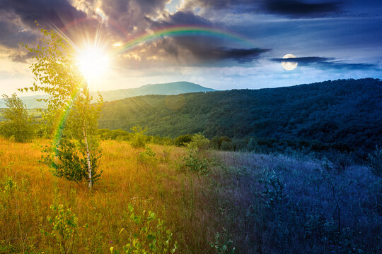 tree on a field in mountain landscape. day meet night. sun and moon over green countryside of ukraine in summer. cloudy weather. carpathian landscape in dappled light. amazing carpathian highland