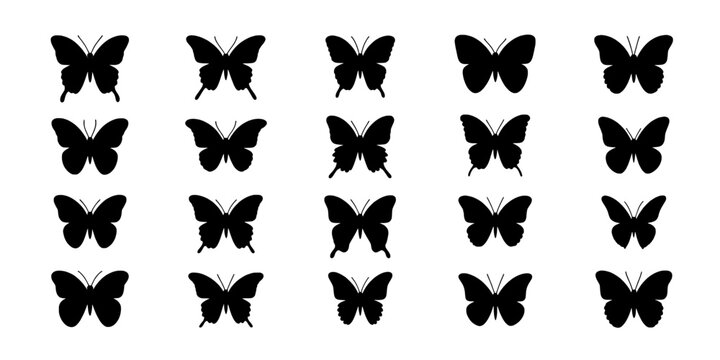 Butterfly pattern repeat with small black flying wings for seamless textile and wallpaper design featuring repeating motif, wing silhouette, insect