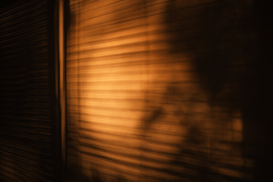 Abstract shadows cast on textured wall illuminated by warm cinematic light. Minimal atmospheric composition with soft gradients, dramatic contrast and moody interplay of light and darkness.