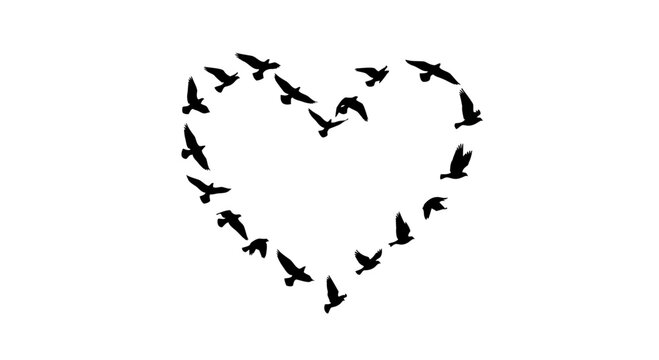 Heart shape flock of birds silhouette flying freedom concept white background