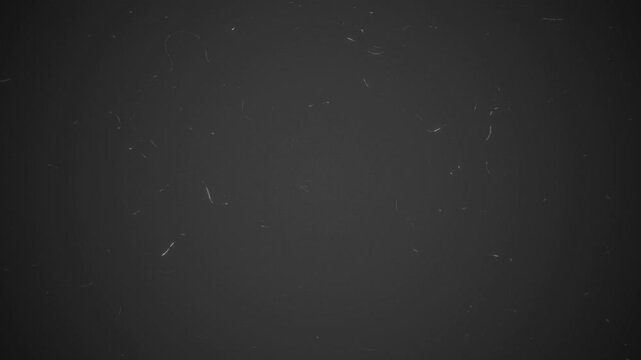 Vintage static dust overlay with noise texture and vignette effect