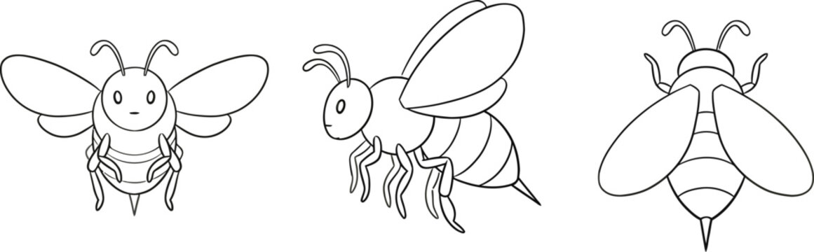 Three Bee Line Drawings On A White Background Depicting Insect Anatomy And Flight bees insects hymenoptera